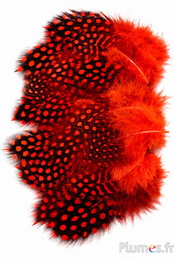 Faraona - 3-6 cm - caramello-giallo